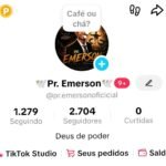 CONTA TIKTOK NÍVEL 24 PARA 25