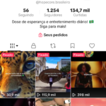 Conta Tiktok 1254 seguidores