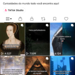CONTA TIKTOK 12.2k + TIKTOKSHOP ATIVO E SEM DOCUMENTO