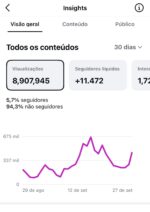 Perfil com 28 Mil Seguidores 100% organico + 9m de visualizações nos últimos 30 dias. - Imagem 2