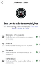 Perfil com 28 Mil Seguidores 100% organico + 9m de visualizações nos últimos 30 dias. - Imagem 3