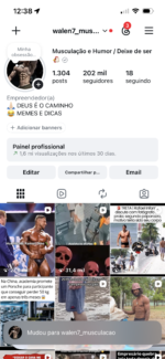 INSTAGRAM NICHO TREINO ENGAJADISSIMAS COM 163 Mil Seguidores - Imagem 3