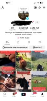 TikTok Monetizado França - já com valores a receber + Conta Tiktok com 9.580 seguidores pronta pra monetizar - Imagem 2
