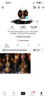 TikTok Monetizado França - já com valores a receber + Conta Tiktok com 9.580 seguidores pronta pra monetizar - Imagem 3