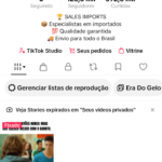 Conta no Tik Tok com 123 mil inscritos