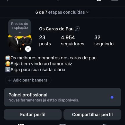 Instagram 5 Mil Seguidores / Os melhores momentos dos caras de pau
