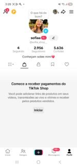 🔥 TIKTOK SHOP ATIVADO | SEM DOC | OPORTUNIDADE EXCLUSIVA — DISPONÍVEL AGORA - Imagem 3