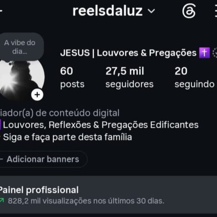 INSTAGRAM 27,5K SEGUIDORES ORGÂNICOS 🇧🇷