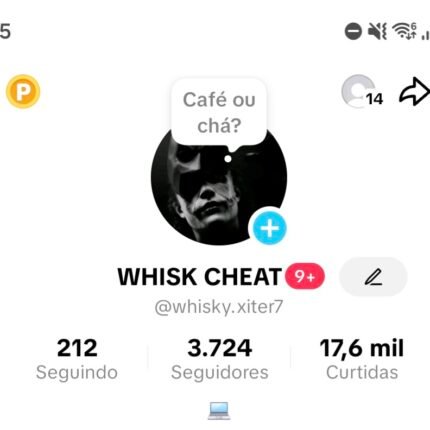 CONTA DE TIKTOK COM 3 MIL SEGUIDORES, POSSUI TIKTOK SHOP, E LIVE, E LINK NA BIO