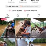 Conta Perfeita Para Tiktok Shop, Bom Engajamento - 4.600 Seguidores - (SEM DOCUMENTAÇÃO)