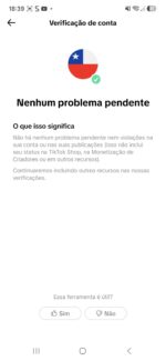 Conta TikTok Alemanha NÃO Monetizado - 31.5K Seguidores | 887K Views no Mês | Público Adulto 55+ (78%) | E-mail Original (OG Email) - Imagem 5