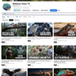 Canal Youtube de Natureza Espanhol com 3640 Inscritos RENDENDO MÉDIA DE R$1.500 MÊS PARADO