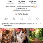 Vendo canal do tiktok, com total de 15,7 mil seguidores e 97,6mil curtidas,visualizações incríveis, conta monetizada para programa criativo beta...obs: sem tiktok shop ativo
