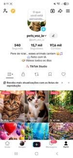 Vendo canal do tiktok, com total de 15,7 mil seguidores e 97,6mil curtidas,visualizações incríveis, conta monetizada para programa criativo beta...obs: sem tiktok shop ativo