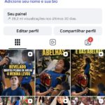 INSTAGRAM COM 14,2 MIL SEGUIDORES