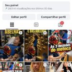 INSTAGRAM COM 13,2 MIL SEGUIDORES