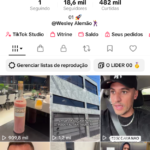 TIKTOK WESLEY ALEMÃO MONETIZADO