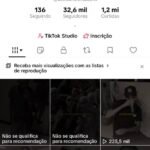 CONTA NO TIKTOK COM EXCELENTE ENGAJAMENTO / 32,6 mil SEG / 1,2 mi CURT / LYRICS VÍDEOS