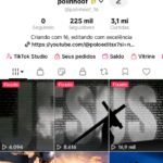 Conta no TikTok muito engajada com mais de 200k de seguidores e com mais de 3M de curtidas