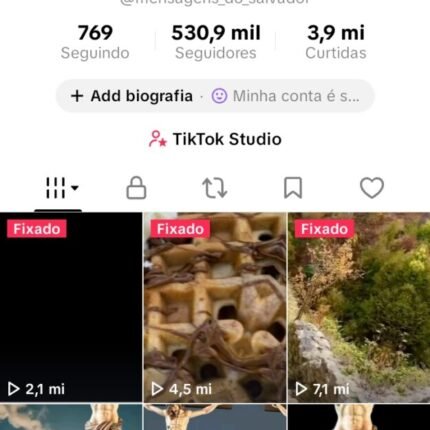 Vendo conta Tiktok monetizada e famosa com seguidores reais e com muitas visualizações tendo 530 mil seguidores e quase 4 milhões de curtidas