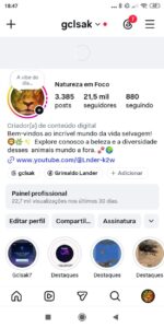 🐾 VENDO PÁGINA INSTAGRAM - NICHO ANIMAIS E NATUREZA 🐾 22.700 seguidores reais e orgânicos