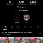 💥 CONTA TIKTOK SHOP ATIVO CONTA 100% VIRAL SEGUIDORES REAIS PRONTA PARA USO