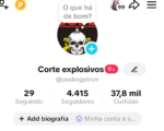 Tiktok 4400 Seguidores - Corte explosivos - Nicho: conteúdo policial