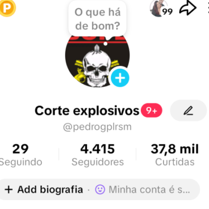 Tiktok 4400 Seguidores - Corte explosivos - Nicho: conteúdo policial