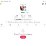Conta Tik Tok Monetizada com 19 mil Seguidores + Diversos Contratos $