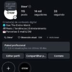 CONTA INSTAGRAM 14K SEGUIDORES - @stewbrasil