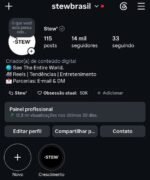 CONTA INSTAGRAM 14K SEGUIDORES - @stewbrasil