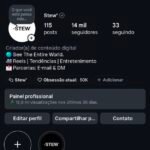 CONTA INSTAGRAM 14K SEGUIDORES - @stewbrasil
