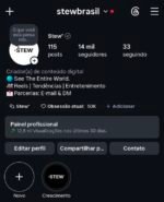 CONTA INSTAGRAM 14K SEGUIDORES - @stewbrasil
