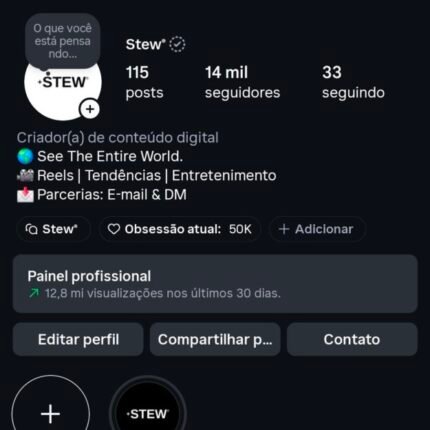 CONTA INSTAGRAM 14K SEGUIDORES - @stewbrasil