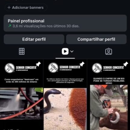 🚀PERFIL DO INSTAGRAM ORGÂNICO 3.6+ MILHÕES de viws em 30D) crescente muito rápido