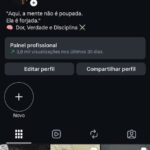 INSTAGRAM COM (25 MIL SEGUIDORES)