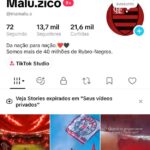 Conta Tiktok Criada ESTADOS UNIDOS | Monetizada. 13,7K e subindo