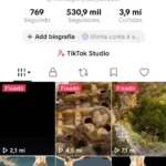 Conta monetizada com 530 mil seguidores e quase 4 milhões de curtidas bem engajada e com mais de 300 vidios