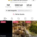 Conta tiktok monetizada e famosa com 530 mil seguidores e quase 4 milhões de curtidas bem engajada e com mais de 300 vidios