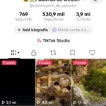 Conta tiktok Monetizada com 530 Mil Seguidores e quase 4 Milhões de curtidas bem engajada