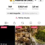 Conta tiktok monetizada com mais de 500 mil seguidores famosa com muitas visualizações e seguidores ativos com mais de 300 vídeos publicados