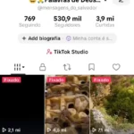 Conta monetizada com 530 mil seguidores e quase 4 milhões de curtidas bem engajada e com mais de 300 vidios