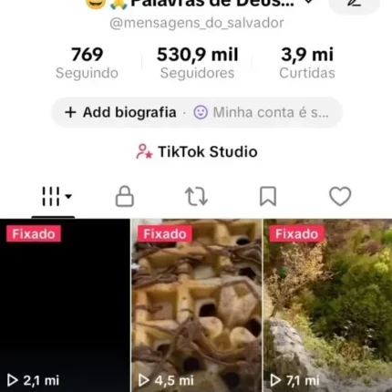 Conta monetizada com 530 mil seguidores e quase 4 milhões de curtidas bem engajada e com mais de 300 vidios