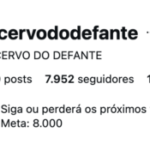 CONTA INSTAGRAM ORGÂNICA COM 7950 SEGUIDORES BRASILEIROS