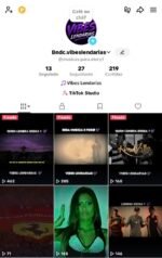 CONTA TIKTOK - MAIS DE 1400 VISUALIZAÇÕES - MAIS DE 180 CURTIDAS - MAIS DE 20 SEGUIDORES