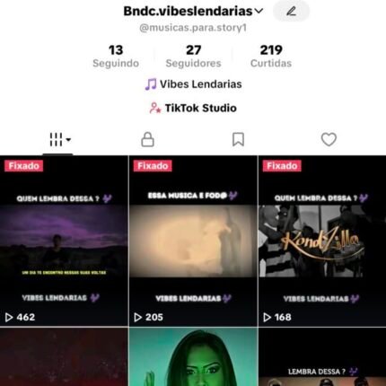 CONTA TIKTOK - MAIS DE 1400 VISUALIZAÇÕES - MAIS DE 180 CURTIDAS - MAIS DE 20 SEGUIDORES