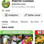 CANAL YOUTUBE COM 13K INSCRITOS À VENDA — OPORTUNIDADE 🔥