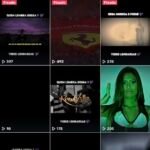 CONTA TIKTOK - MAIS DE 2800 VISUALIZAÇÕES - MAIS DE 300 CURTIDAS - MAIS DE 20 SEGUIDORES