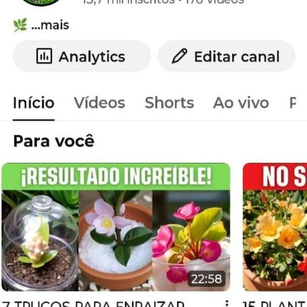 Promoção Hoje Canal YouTube quase 14k inscritos
