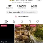 Conta monetizada com 530 mil seguidores e quase 4 milhões de curtidas bem engajada e com mais de 300 vidios